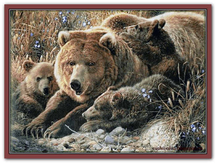 Family of bears (1) (700x529, 441Kb)