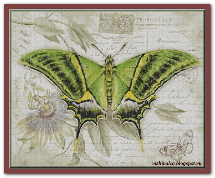 Butterfly Vintage 10 (1) (700x579, 392Kb)