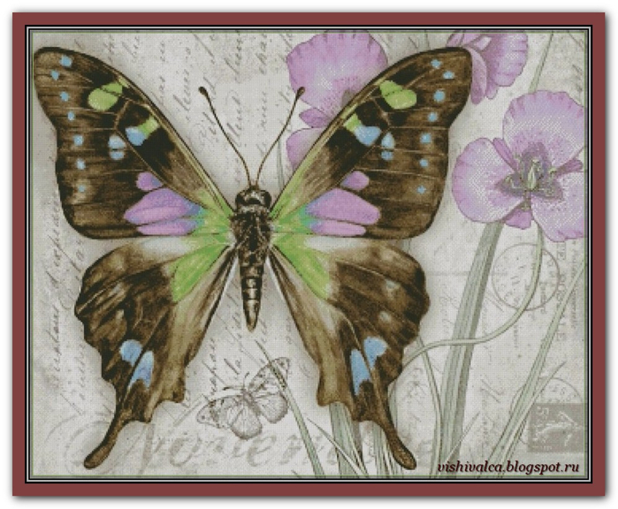 Butterfly Vintage 11 (1) (700x576, 381Kb)