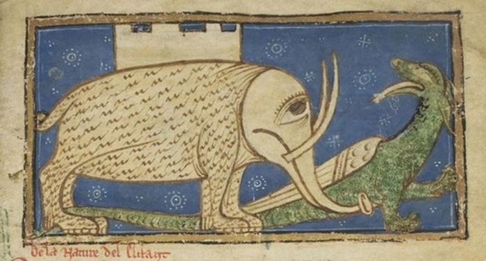 Как средневековые художники представляли слонов