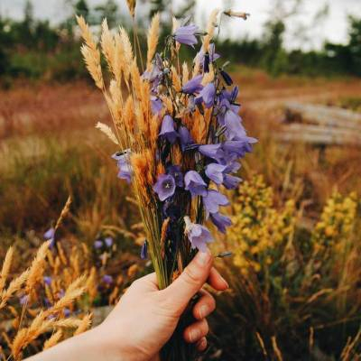 wild flowers bouquet (400x400, 155Kb)