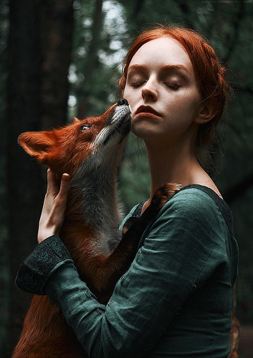 forest fox 3 (496x700, 323Kb)