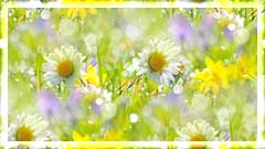98284030_Chark_Nebesnoeinfo_01 (240x135, 10Kb)