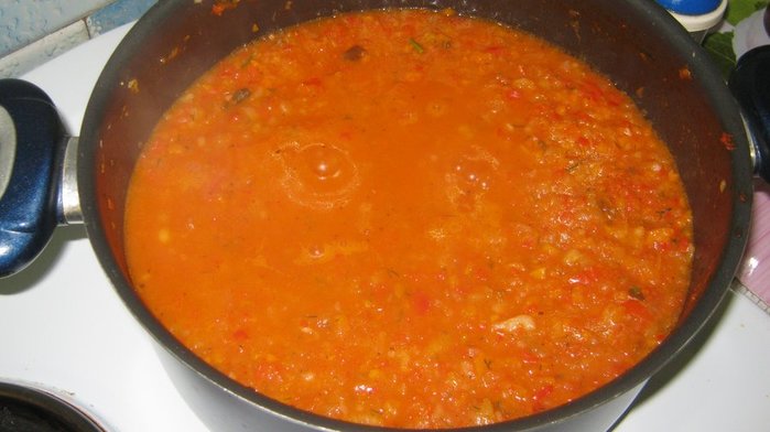 IMG_1307 (700x392, 47Kb)