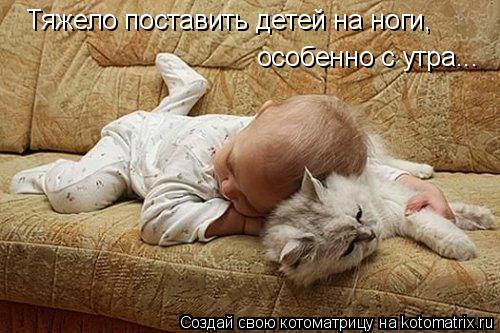 4743317_LI (500x333, 45Kb)