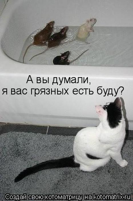 4743317_lb (466x700, 51Kb)