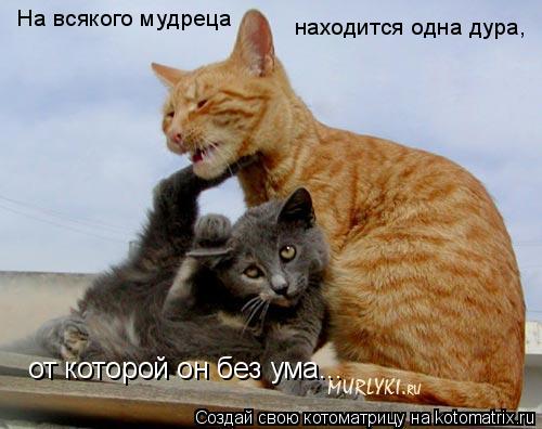 4743317_NO (500x396, 35Kb)