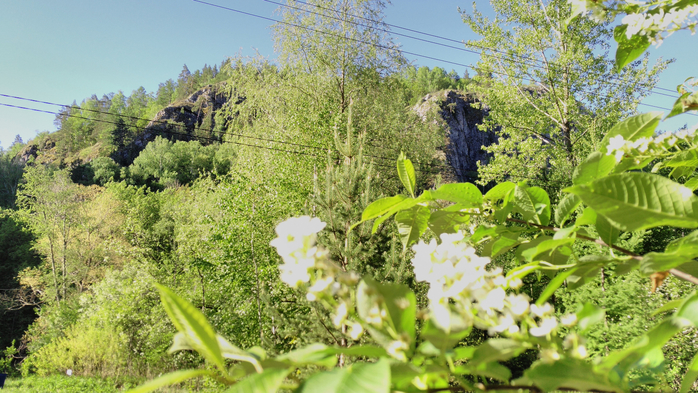 IMG_20180523_075847 (700x393, 464Kb)