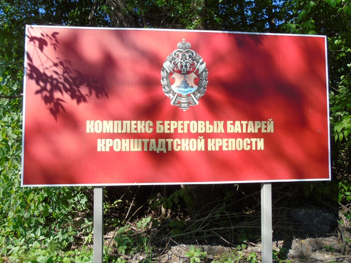 DSC03499 (700x525, 450Kb)