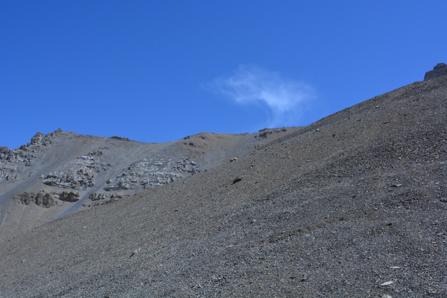 DSC_0755 (640x427, 197Kb)