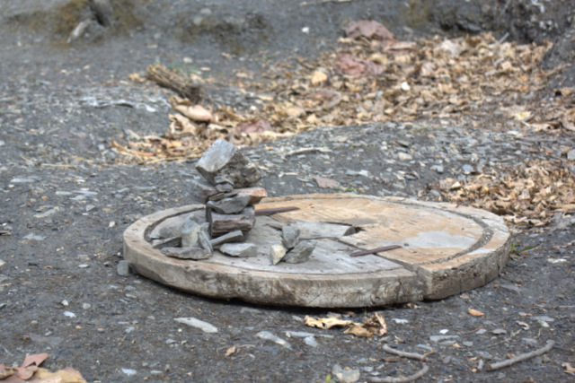 DSC_0781 (640x427, 255Kb)