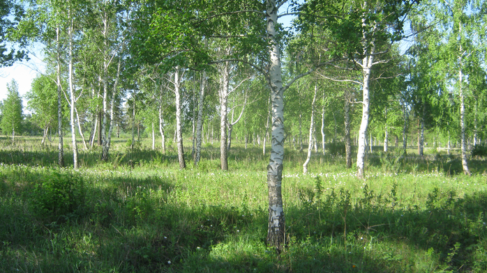 IMG_3750 (700x392, 513Kb)