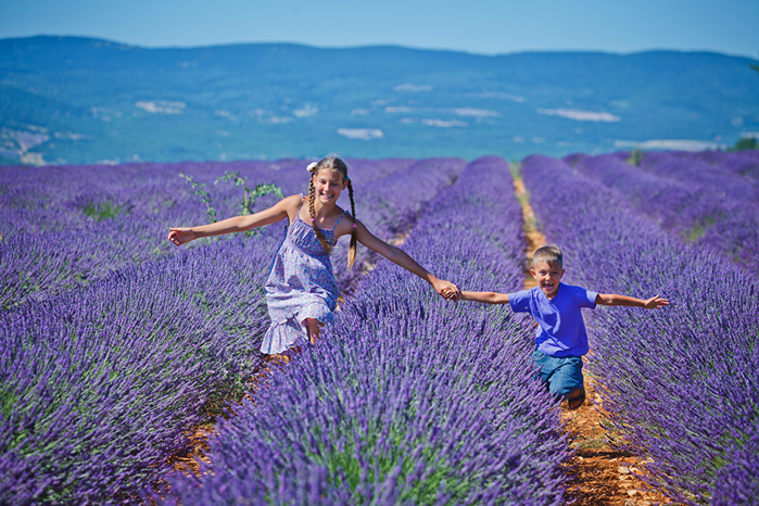 Fields_Lavandula_Two_Boys_Little_girls_Joy_523471_1280x853 (700x466, 247Kb)