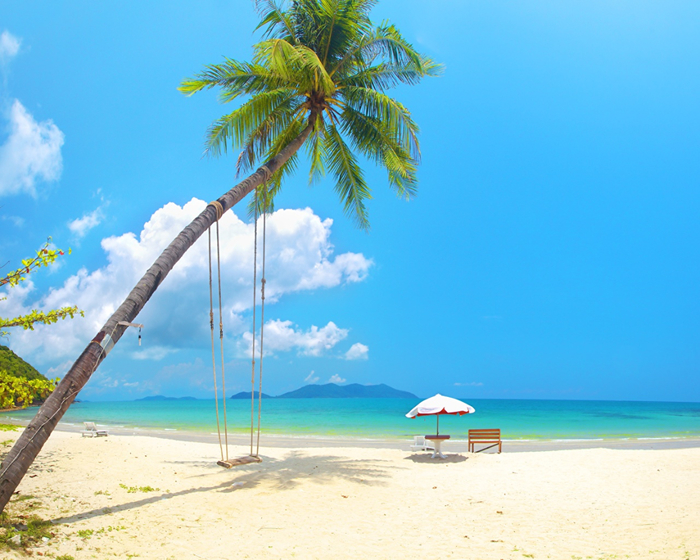 Tropics_Sea_Palms_Swing_Beach_528262_1280x1024 (700x560, 426Kb)