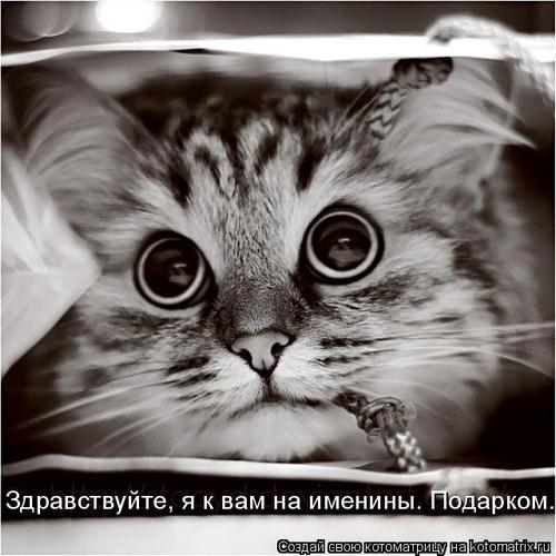 4743317_S (500x500, 43Kb)