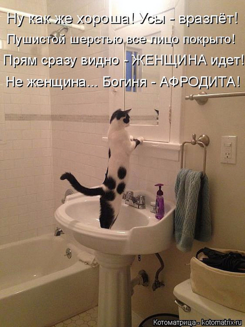 4743317_142260449_141809476_7 (500x667, 355Kb)