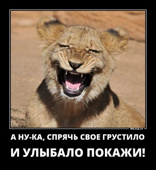 4743317_image1 (500x546, 76Kb)