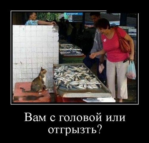4743317_image2 (500x482, 56Kb)