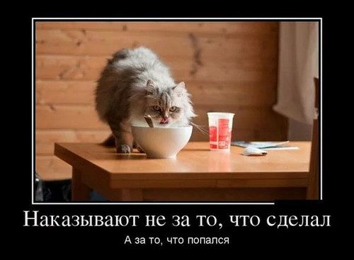 4743317_image3 (500x367, 37Kb)