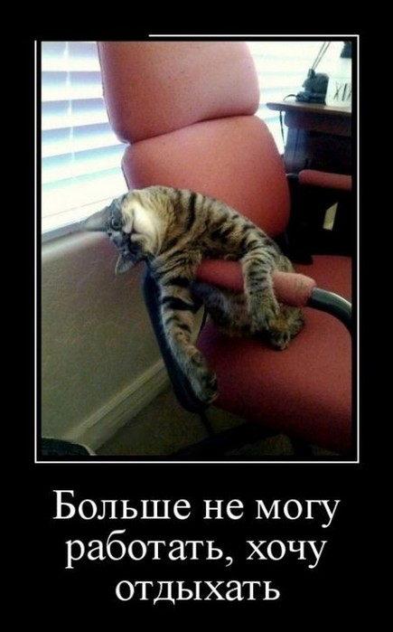 4743317_image22 (435x700, 51Kb)