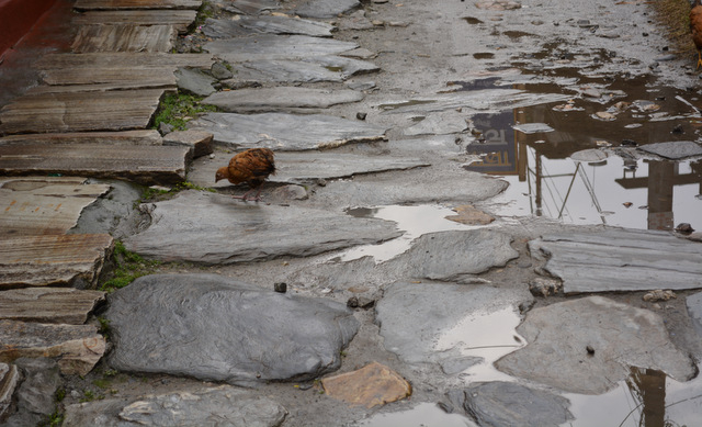 DSC_0886 (640x389, 215Kb)