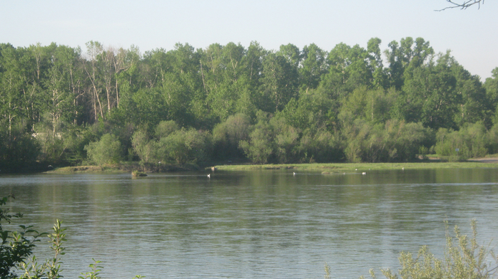 IMG_3778 (700x392, 373Kb)