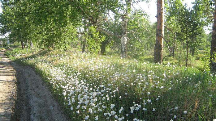 IMG_3792 (700x392, 504Kb)