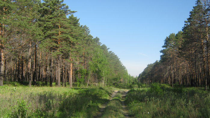 IMG_3800 (700x392, 427Kb)