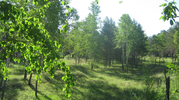 IMG_3815 (700x392, 465Kb)