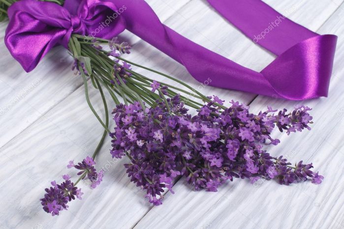 depositphotos_27918135-stock-photo-bouquet-of-fresh-lavender-flowers (700x466, 62Kb)