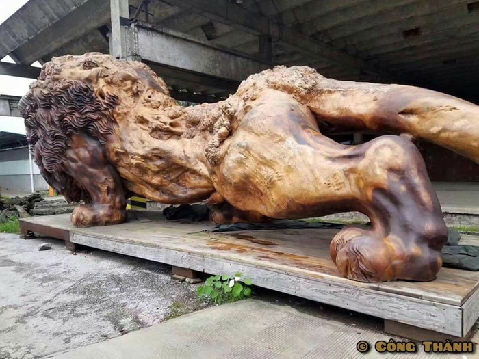 lion-carved-from-single-tree-trunk-by-dengding-rui-yao-3 (700x525, 381Kb)