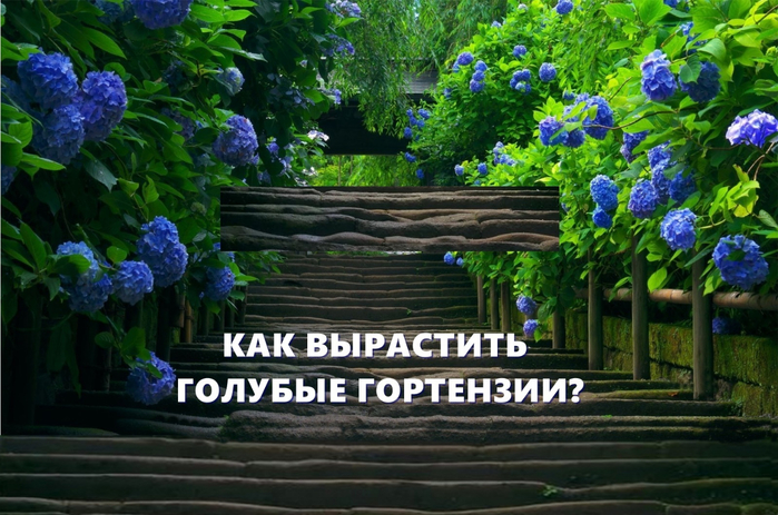 02+ (700x463, 426Kb)