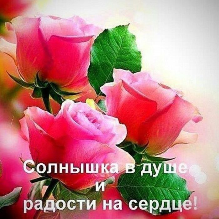 День, открытка радость в душе