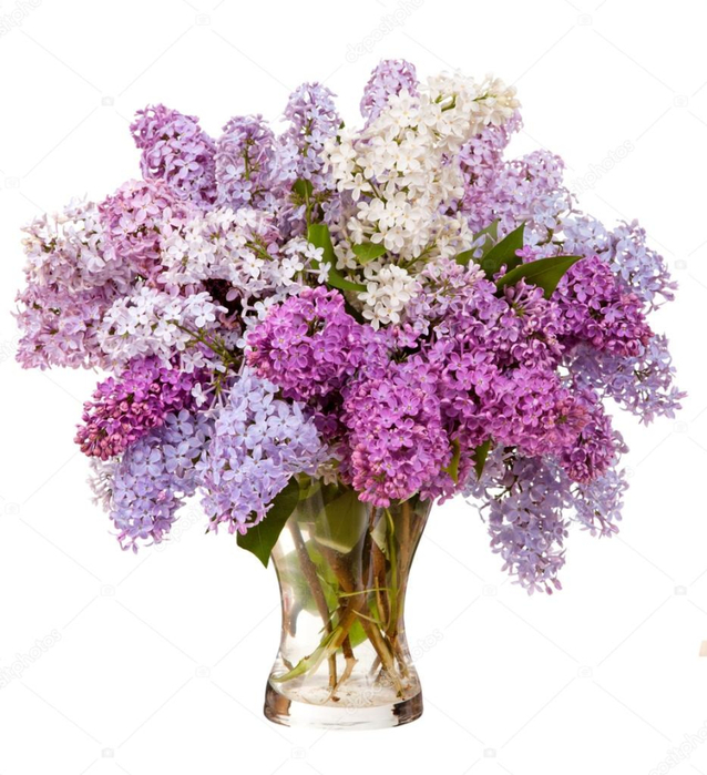 depositphotos_27421967-stock-photo-lilacs-in-a-glass-vase (638x700, 377Kb)