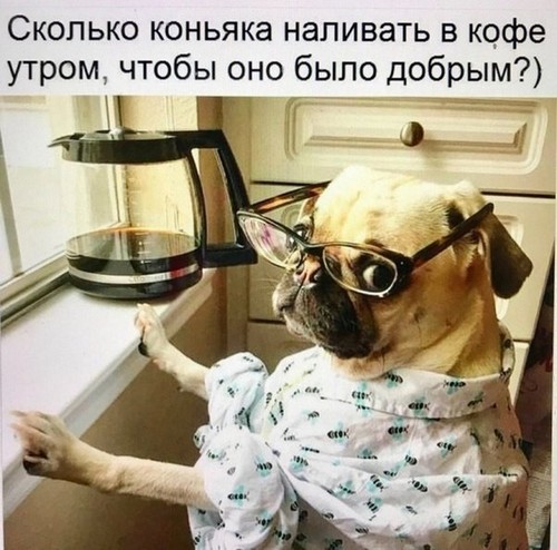 4743317_i531 (500x494, 74Kb)