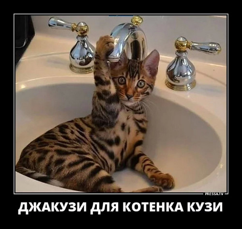 4743317_image1 (500x473, 56Kb)