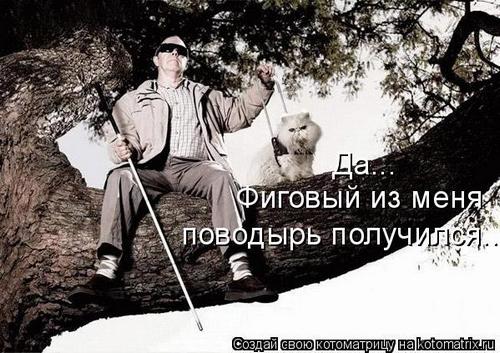 4743317_U7 (500x353, 51Kb)