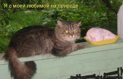 4743317_ur (500x321, 29Kb)