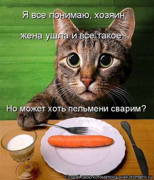 4743317_wB (500x585, 63Kb)