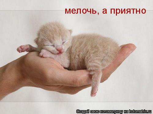 4743317_ZyL (500x373, 20Kb)