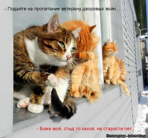 4743317_142300488_dfd3f4925cad0396599f3f83e32fddb0 (500x465, 40Kb)