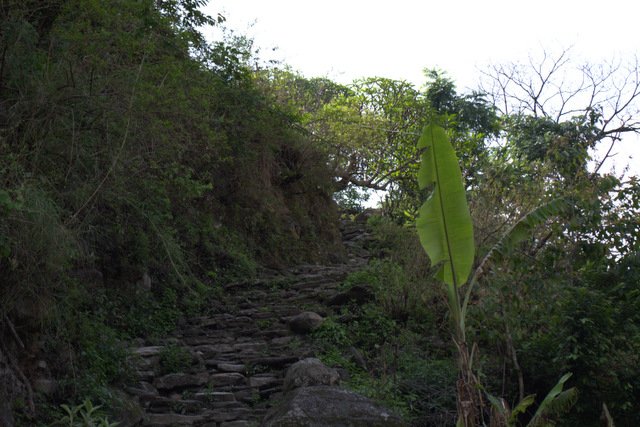 DSC_0917 (640x427, 272Kb)