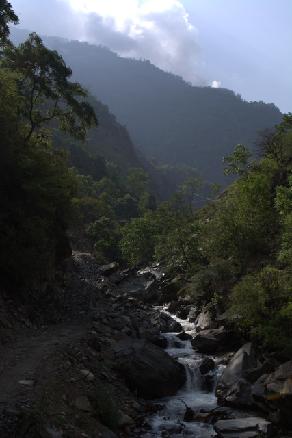 DSC_0923 (427x640, 186Kb)