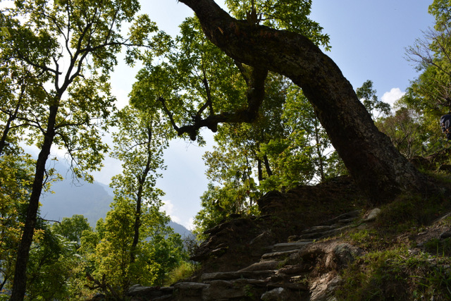DSC_0939 (640x427, 365Kb)