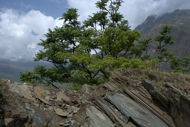 DSC_0950 (640x427, 284Kb)