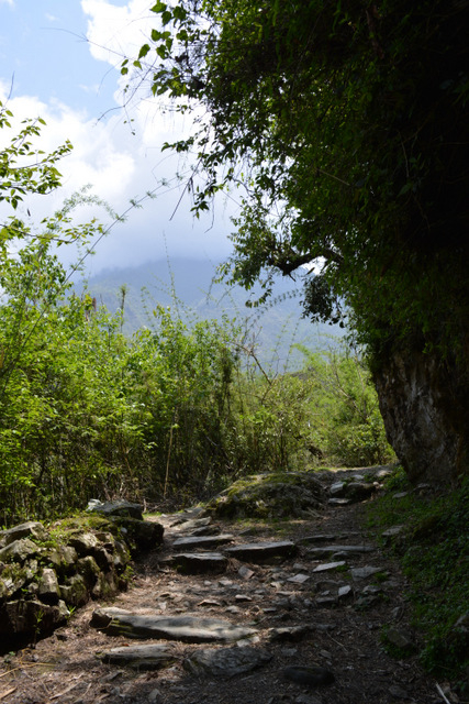 DSC_0967 (427x640, 318Kb)