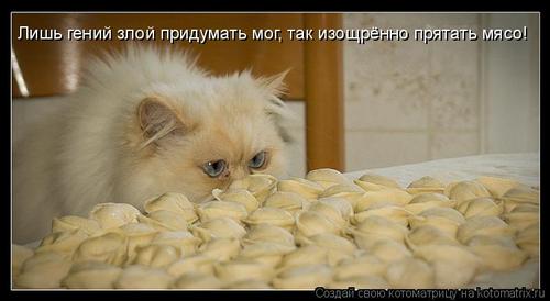 4743317_EG (500x274, 20Kb)