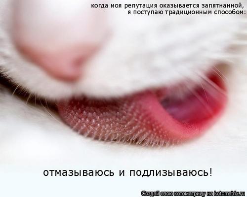 4743317_Fy (500x400, 21Kb)