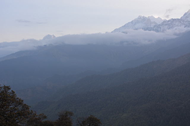 DSC_1008 (640x427, 124Kb)