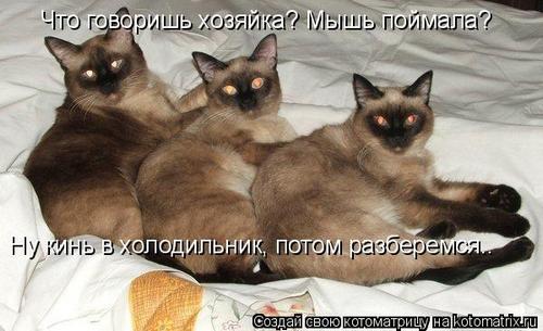 4743317_km (500x305, 33Kb)